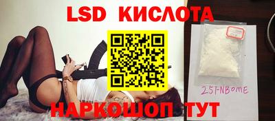 прущие грибы Пенза