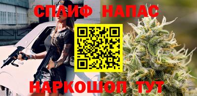 прущие грибы Пенза