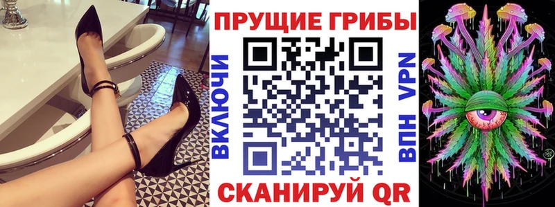 KRAKEN ссылка  Курганинск  Галлюциногенные грибы Psilocybine cubensis  наркота 